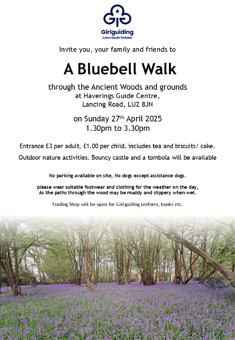 Bluebell Walk